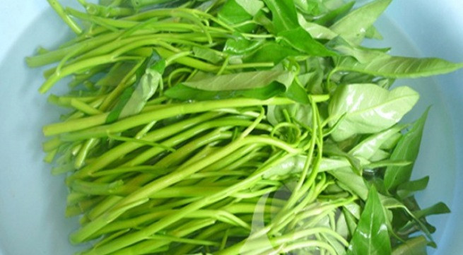 Ảnh minh họa: Internet