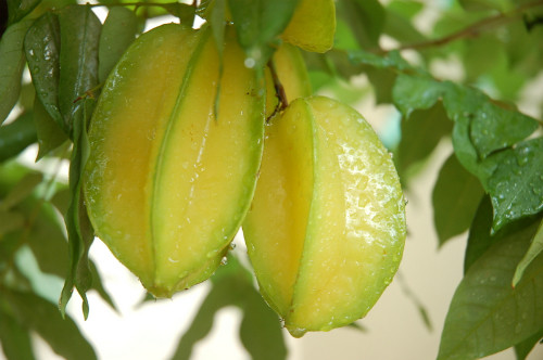 Ảnh minh hoạ: Internet