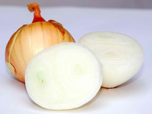 Ảnh minh hoạ: Internet