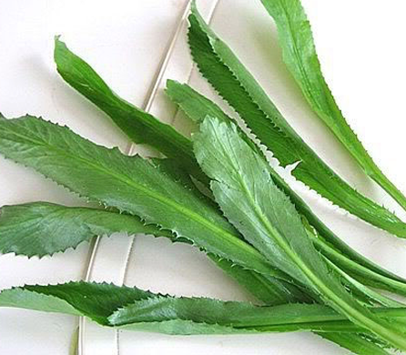 Ảnh minh họa: Internet