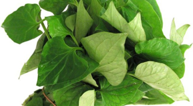 Ảnh minh họa: Internet