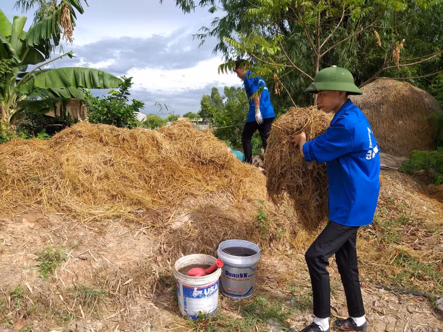 Vũ Trung Kiên và đồng đội tiến hành ủ rơm rạ, biến chúng thành sản phẩm hữu ích.