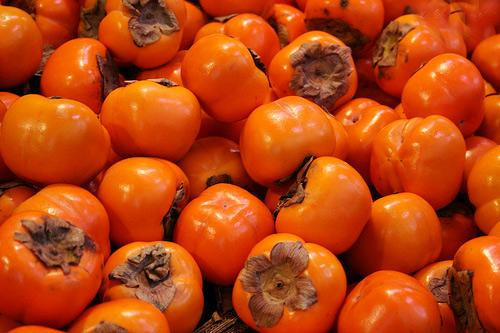 Ảnh minh hoạ: Internet