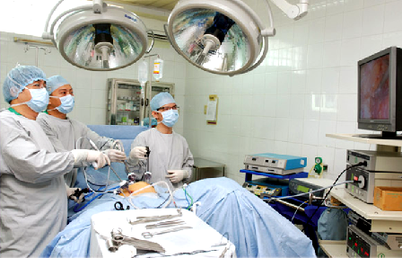 Ảnh minh hoạ: Internet