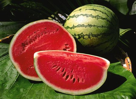 Ảnh minh hoạ: Internet