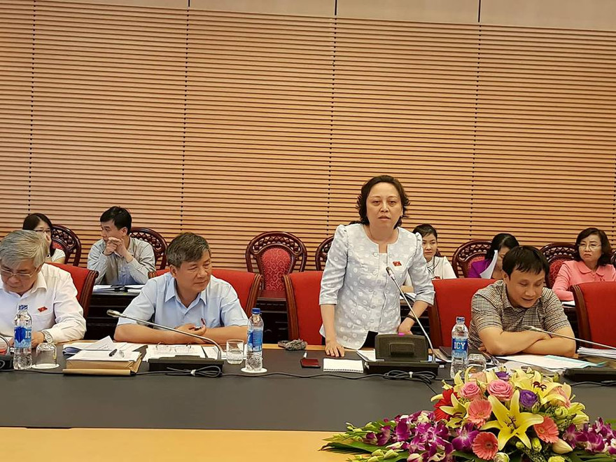 Đại biểu Phạm Khánh Phong Lan