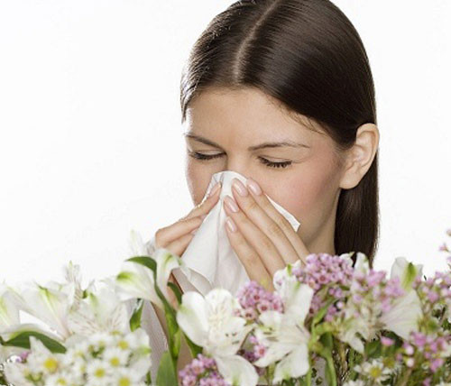 Ảnh minh hoạ: Internet