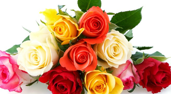 Ảnh minh hoạ: Internet