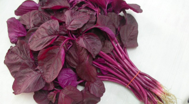 Ảnh minh hoạ: Internet