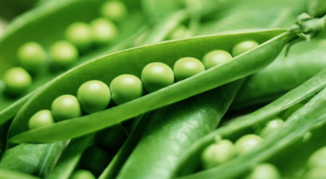 Ảnh minh họa: Internet