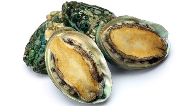 Ảnh minh hoạ: Internet