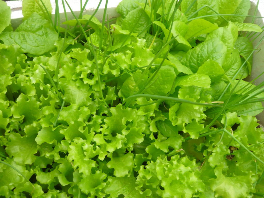 Ảnh minh họa: Internet