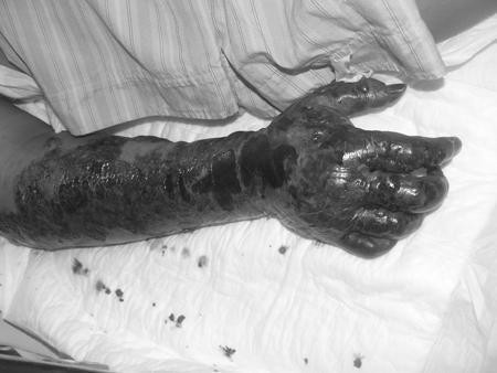 Ảnh minh họa: Internet