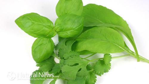 Ảnh minh họa: Internet