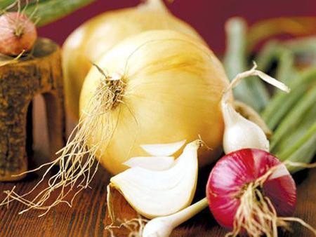 Ảnh minh hoạ: Internet