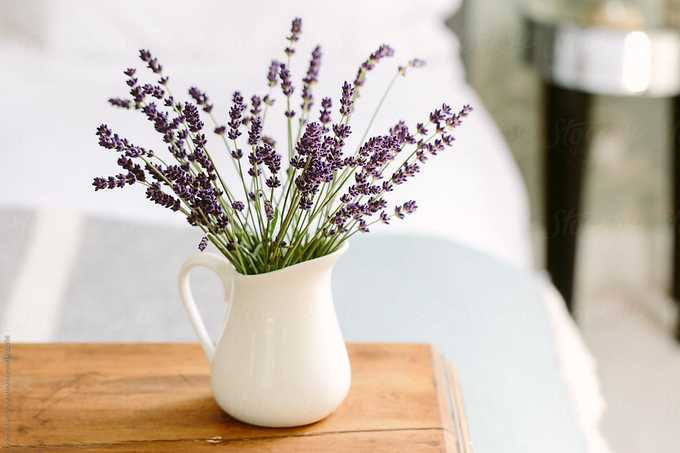 Ảnh minh họa: Internet