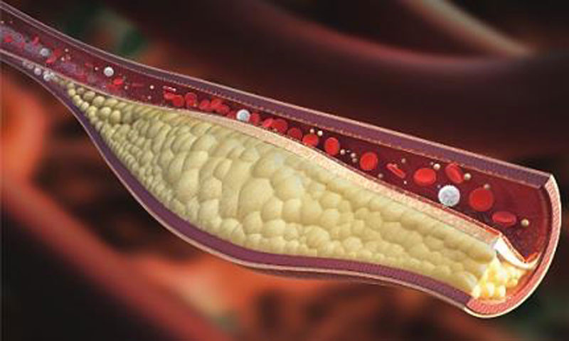 Ảnh minh họa: Internet