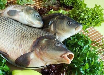 Ảnh minh họa: Internet