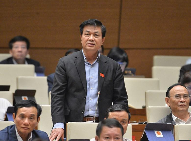 Đại biểu Đỗ Ngọc Thịnh (Chủ tịch Liên đoàn Luật sư Việt Nam)