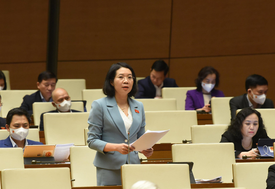 Đại biểu Mai Thị Phương Hoa (đoàn Nam Định) 