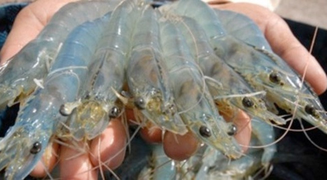 Ảnh minh họa: Internet