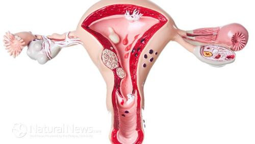 Ảnh minh họa: Internet