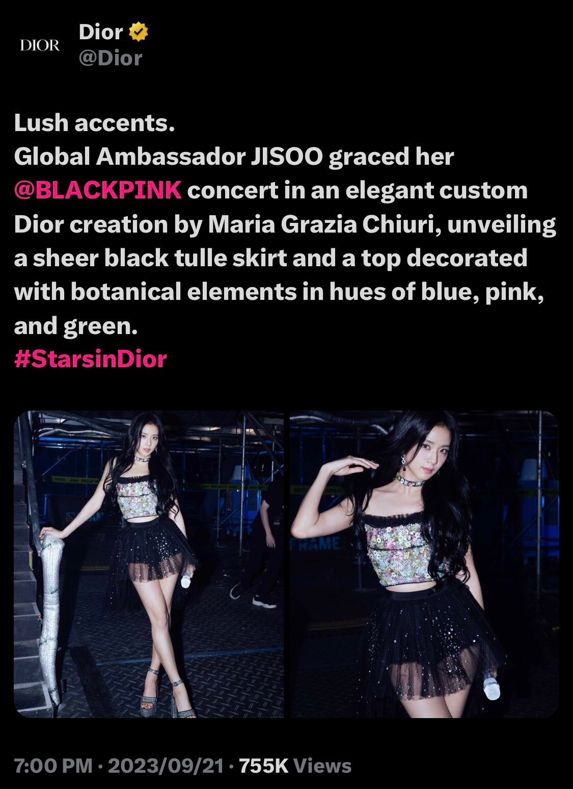 jisoo-blackpink-concert-deadline-jonathan-anderson-dior-5.jpg