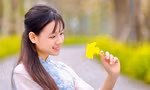 Hà Nội xao xuyến mùa hoa ban tím, phong linh nhuộm vàng góc phố