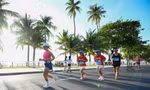 Cung đường 'vạn người mê' bên vịnh xanh Nha Trang tại Tiền Phong Marathon 2026