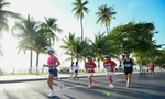 Cung đường 'vạn người mê' bên vịnh xanh Nha Trang tại Tiền Phong Marathon 2026
