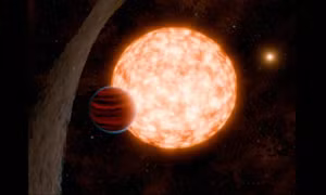 Lời nhắc tháng 2: Kim Ngưu tài chính dần ổn định, Cự Giải vun đắp cho cảm xúc