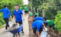 Hơn 2,8 tỉ đồng làm lợi cho người dân ngày cao điểm xây dựng nông thôn mới 