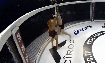 Hai pha knock-out được đề xuất hay nhất năm