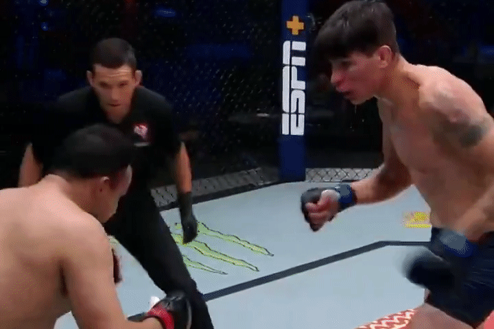 Võ sĩ 23 tuổi tung đòn đá khiến đối thủ bất tỉnh