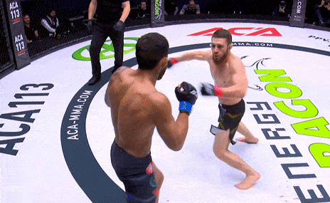 Cựu võ sĩ UFC tung cú đá 180 độ hạ knock-out đối thủ