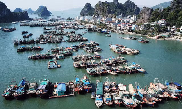 Chương trình ‘Cùng ngư dân thắp sáng đèn trên biển’ đến đặc khu Vân Đồn