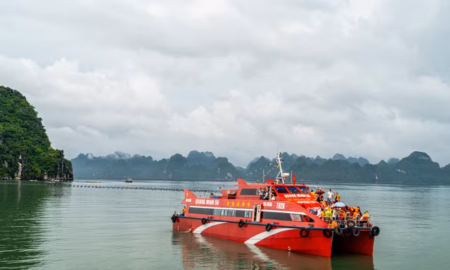 Quảng Ninh tạm dừng cấp phép cho tàu chở khách, tàu du lịch ra biển