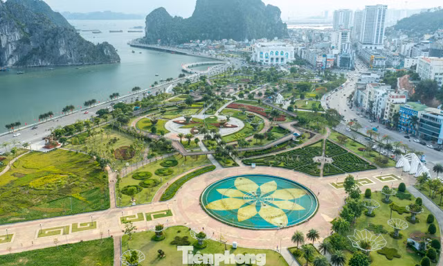 Ngắm lá phổi xanh mướt bên bờ di sản vịnh Hạ Long