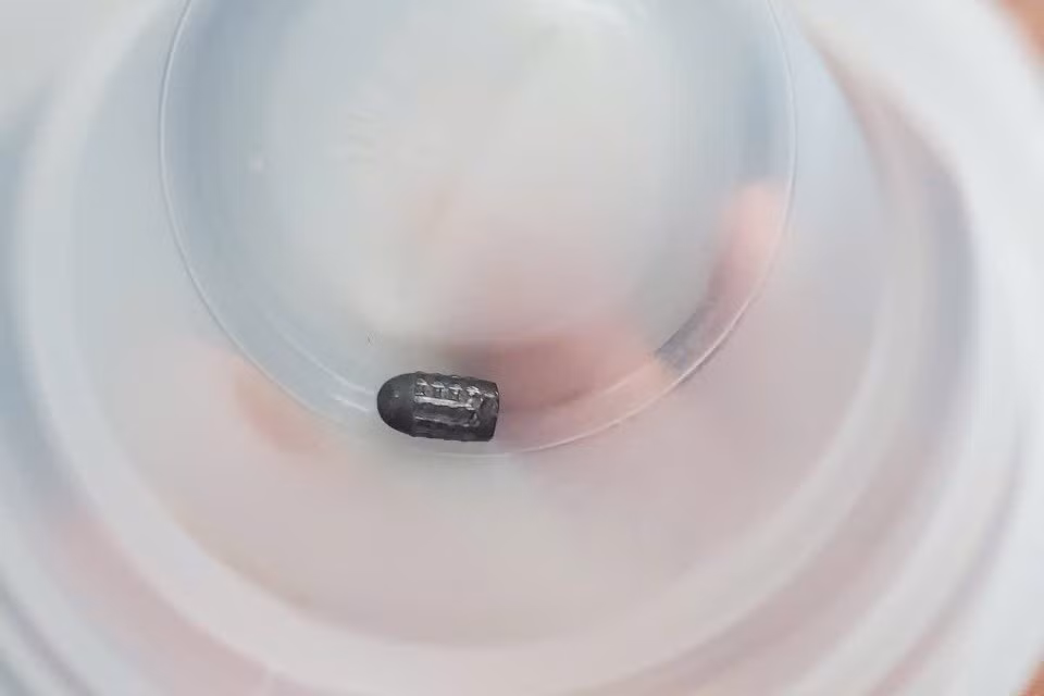 z6853019096093-edfea298352a7e7b915186df5348806c-2433.jpg