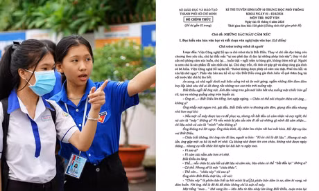 TP.HCM: Hơn 151.000 sĩ tử 2K11 làm bài thi Văn với chủ đề Những sắc màu cảm xúc