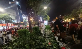 Gần 5.000m2 thảm cỏ, hoa, cây cảnh bị hư hỏng và mất trộm sau 2 buổi tổng hợp luyện A80