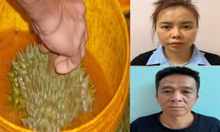 Hai đối tượng buôn lậu hơn 7.000 sản phẩm thuốc nhúng quả sầu riêng