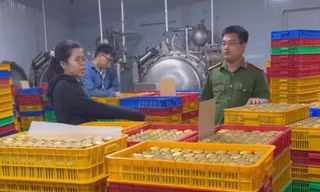 Triệt phá đường dây sản xuất nước yến, yến sào giả quy mô lớn 