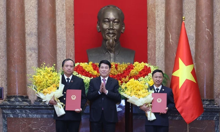 Chủ tịch nước trao quyết định bổ nhiệm hai Phó Chánh án Tòa án nhân dân Tối cao