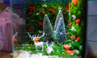 Bạn trẻ khuyết tật làm tiểu cảnh Giáng sinh rừng nhiệt đới độc đáo cực hút khách