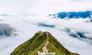 Lạc bước săn mây ở Tà Xùa 
