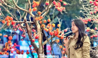 Giới trẻ Thủ đô check-in quán cà phê như ‘phim trường Tết’