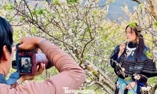Kiếm bộn tiền nhờ dịch vụ 'sống ảo' ăn theo mùa hoa Mộc Châu