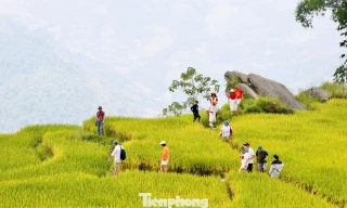 Du khách đổ về Y Tý, đắm chìm với ruộng bậc thang đẹp nhất Tây Bắc