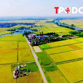 Chuyển đất nông nghiệp sang đất ở, thu bao nhiêu tiền là hợp lý?